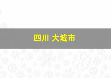 四川 大城市